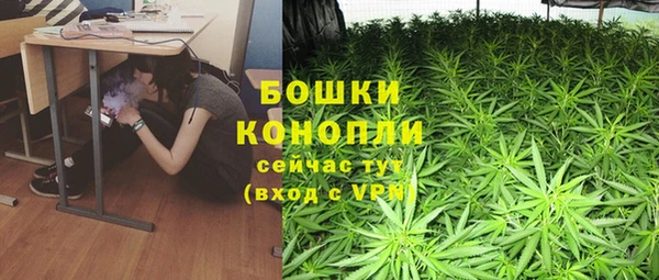 MESCALINE Бородино