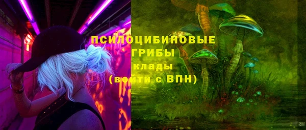 гашик Бугульма