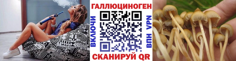 Псилоцибиновые грибы прущие грибы  Купить  Каменка 