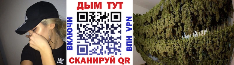 Купить где  Каменка  Каннабис индика 
